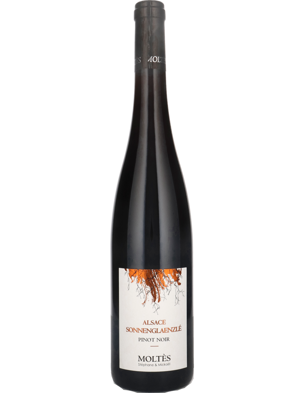 Pinot Noir Sonnenglaenzlé