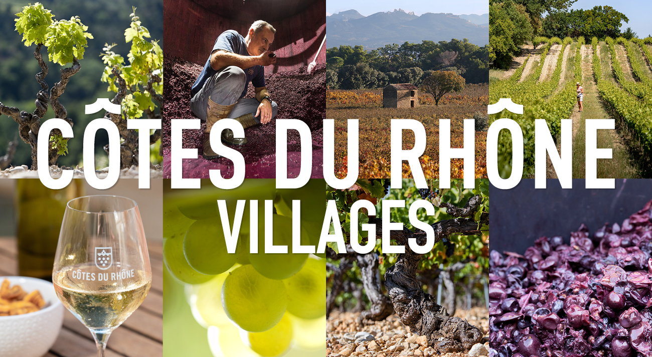Cotes Du Rhone Village Landschaft der Côtes du Rhône Villages mit üppigen Weinreben und sanften Hügeln im Hintergrund.