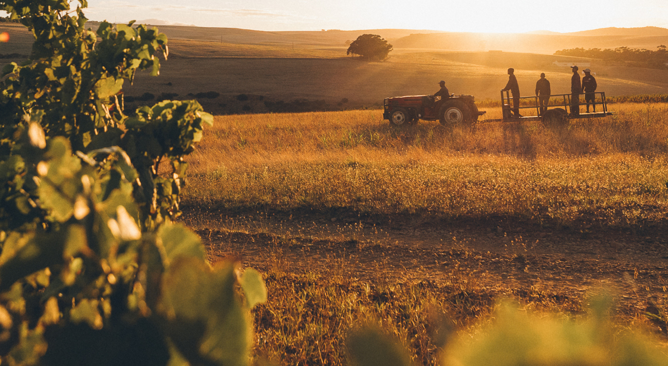 Beaumont Family Wines – Neues aus Südafrika