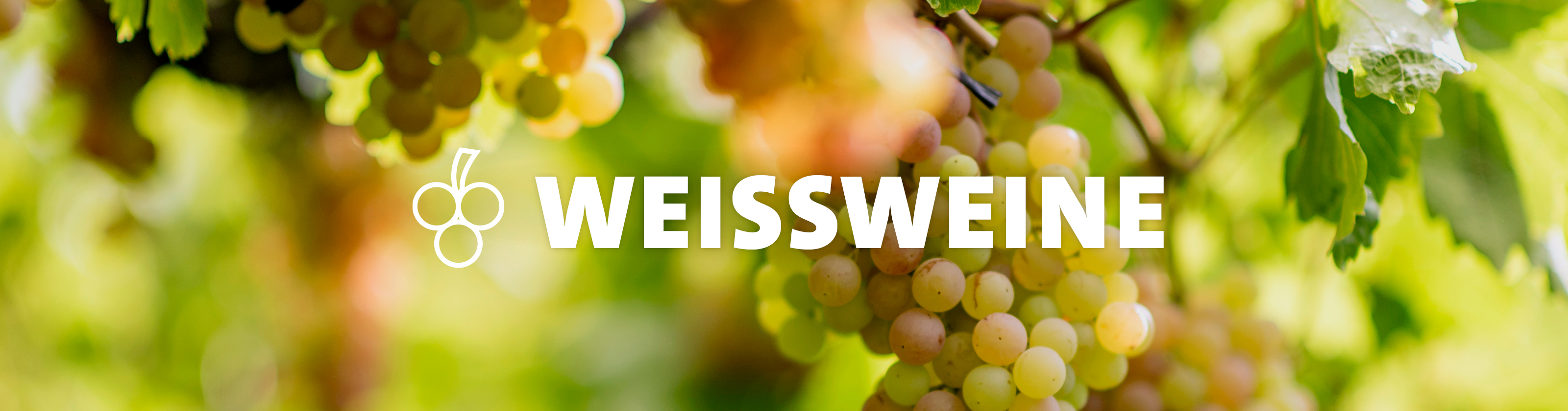  Kölner Weinkeller: Weissweine