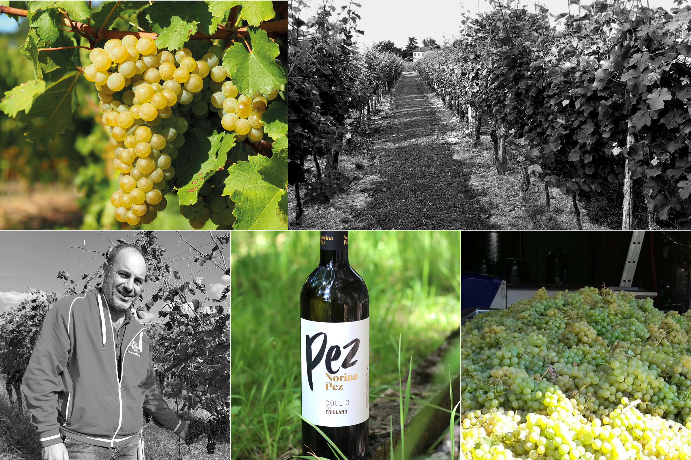 Collio Goriziano