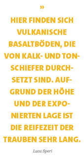 Zitat_Luca_Speri