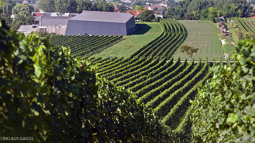 Weingut Heinrich Salzberg Weingut Heinrich Salzberg