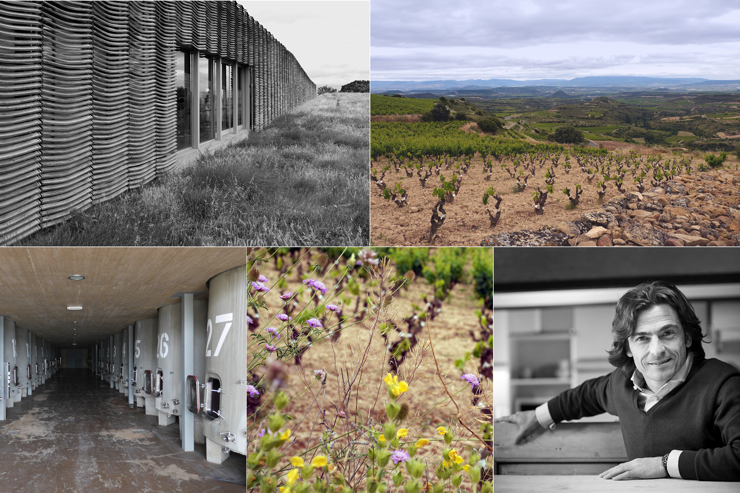 MultiPic_Lanzaga