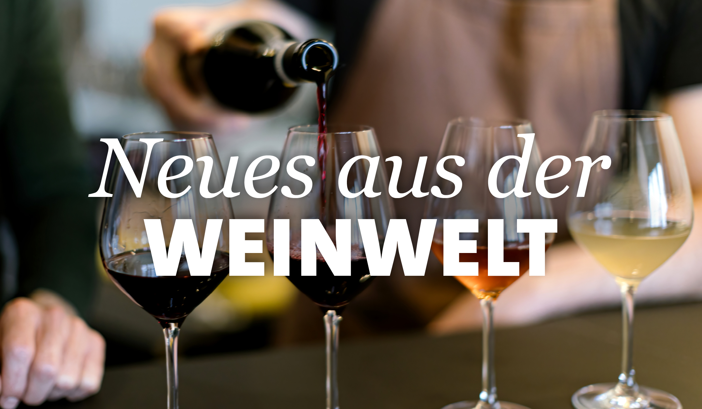 Worüber Weinkenner sprechen