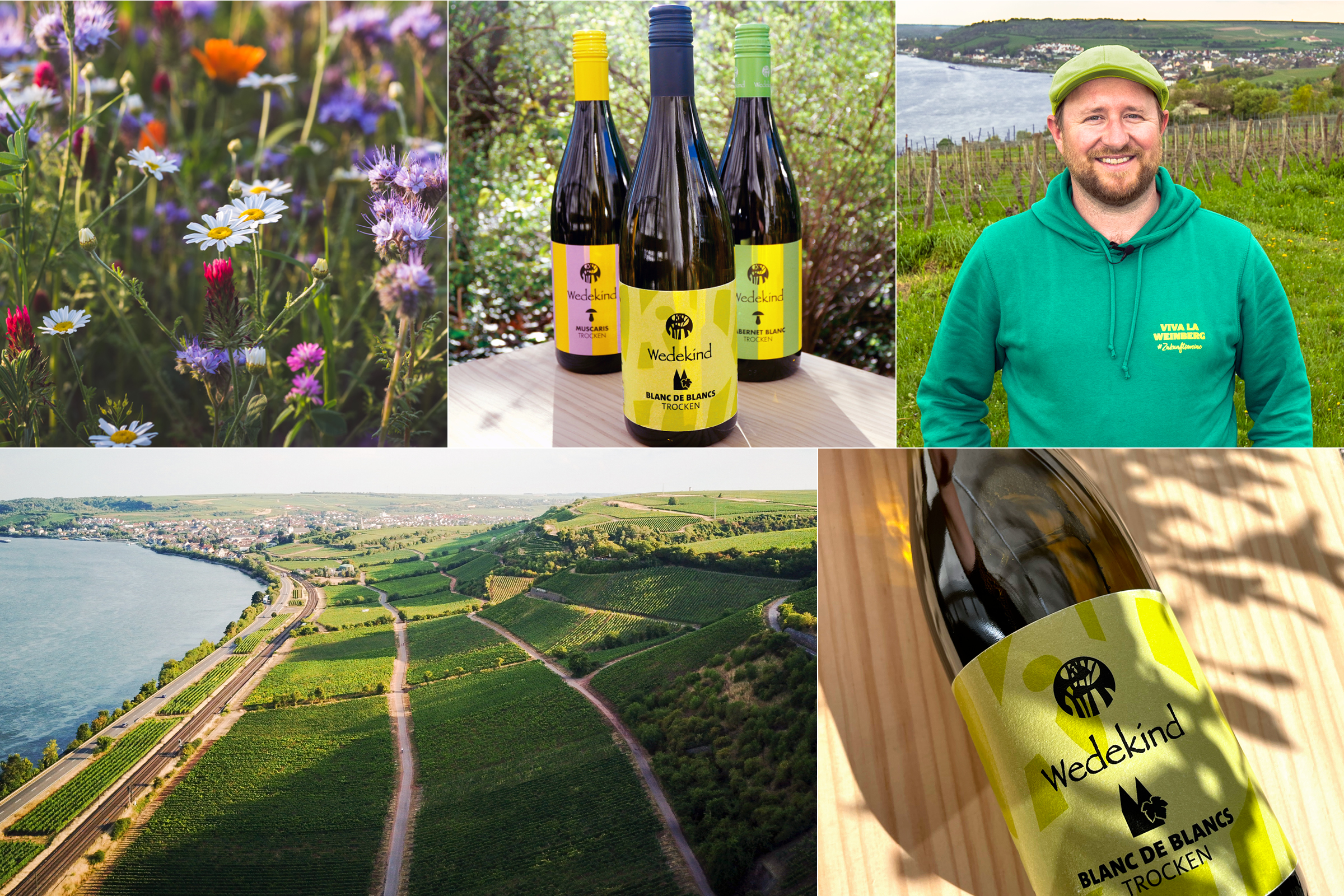 MultiPic Wein des Jahres