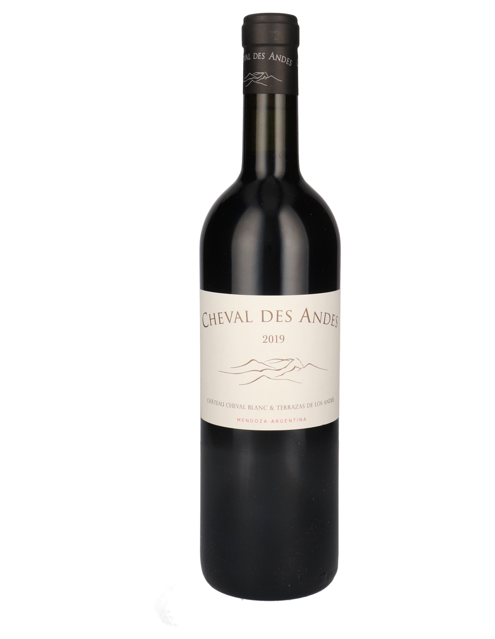 Cheval des Andes