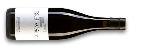 2023 Gams Riesling Kabinett Ried Weiern Blaufränkisch