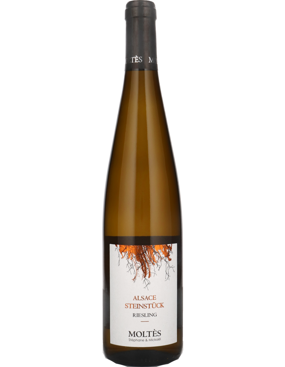 Riesling Steinstück