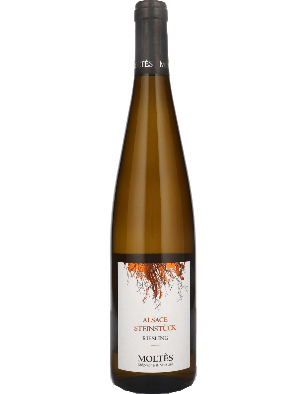 Riesling Steinstück