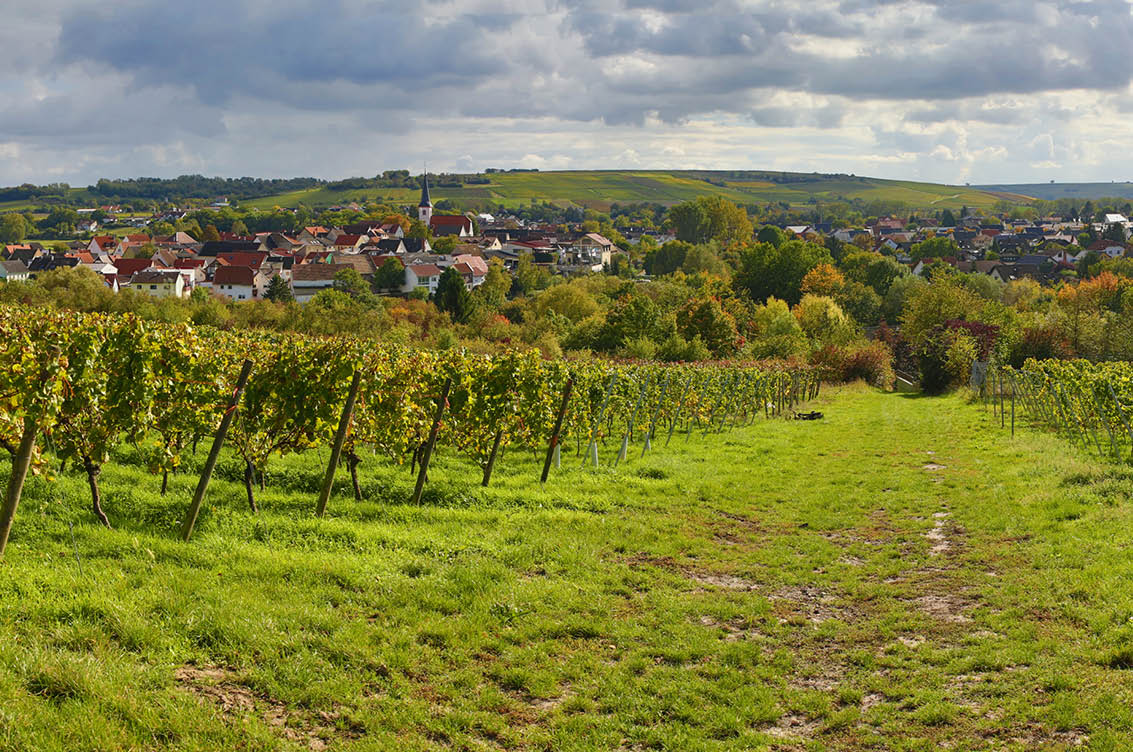 Eppelmann Stadecken Elsheim Eppelmann Stadecken Elsheim