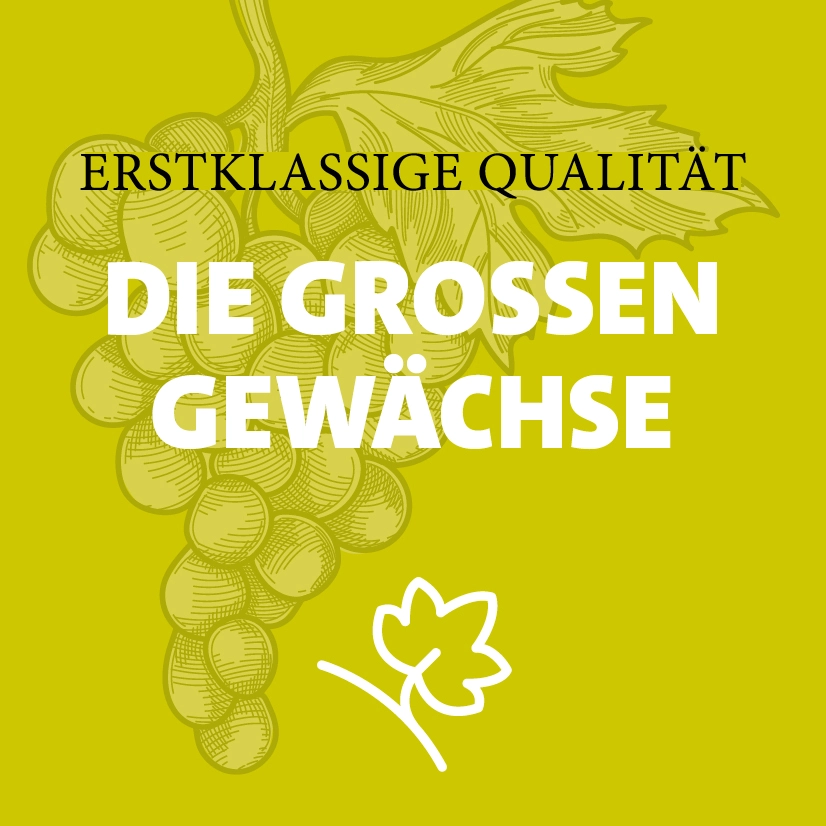 Quadratisches Teaserbild, grün mit einer Illustration einer Traube im Hintergrund darauf steht der Text: Erstklassige Qualität – Die großen Gewächse