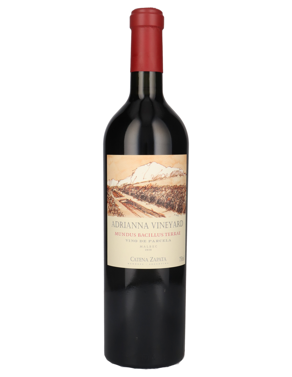 Catena Zapata Adrianna Vineyard Mundus Bacillus Terrae