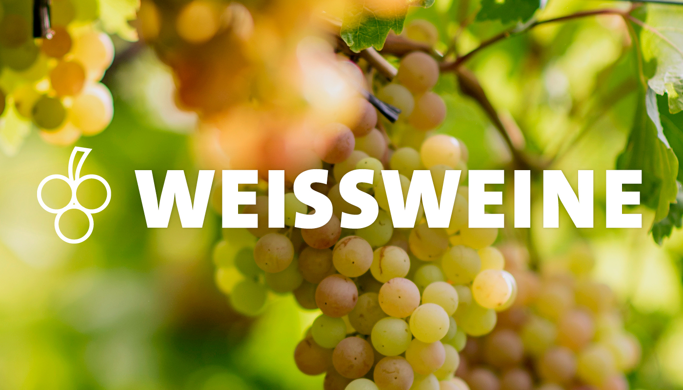 Weissweine im Kölner Weinkeller