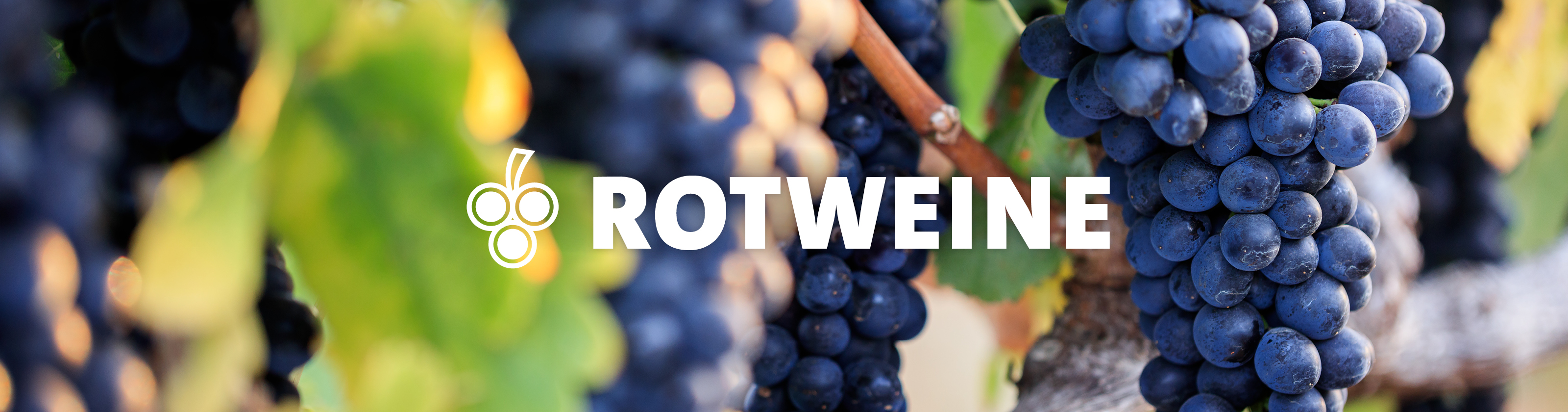 Rotwein aus dem Kölner Weinkeller