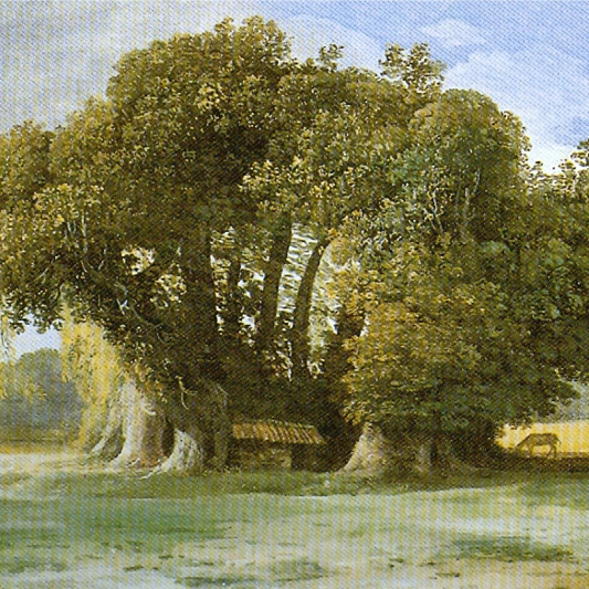 Der Baum, der hundert Pferde