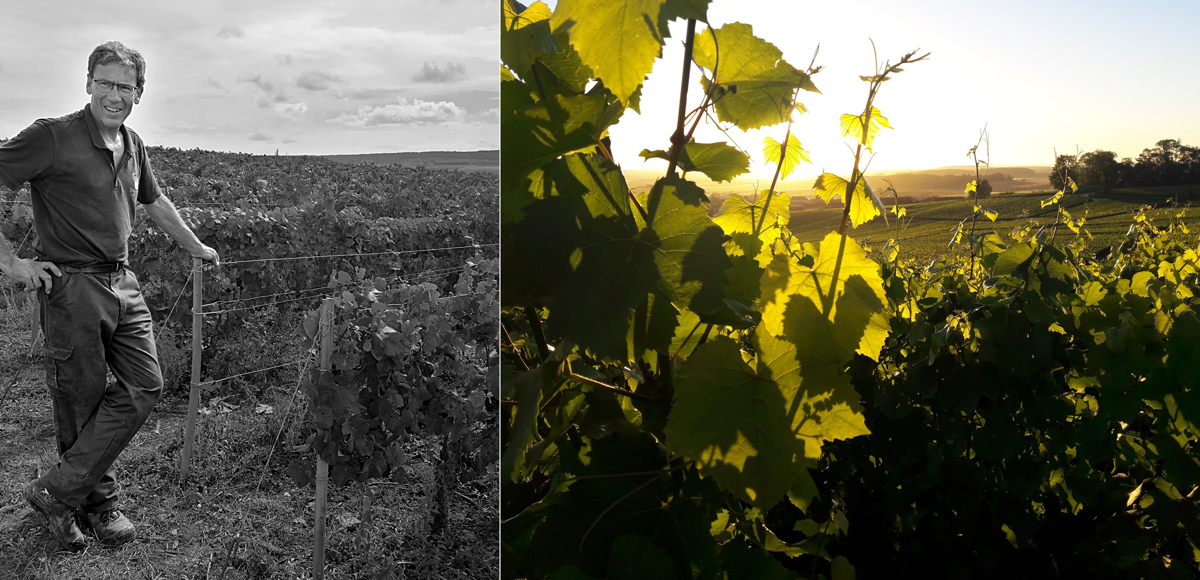 Solemme MultiPic